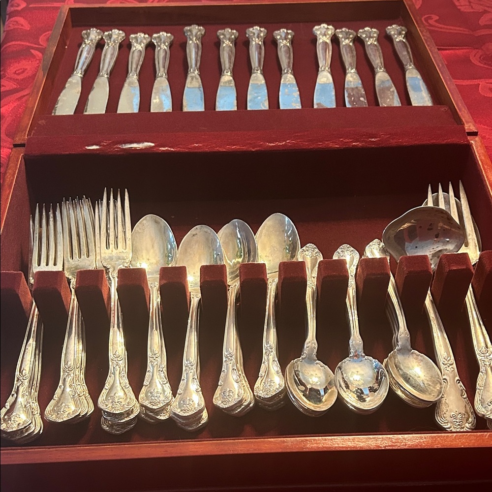 Elegant Silver Cutlery Set never used